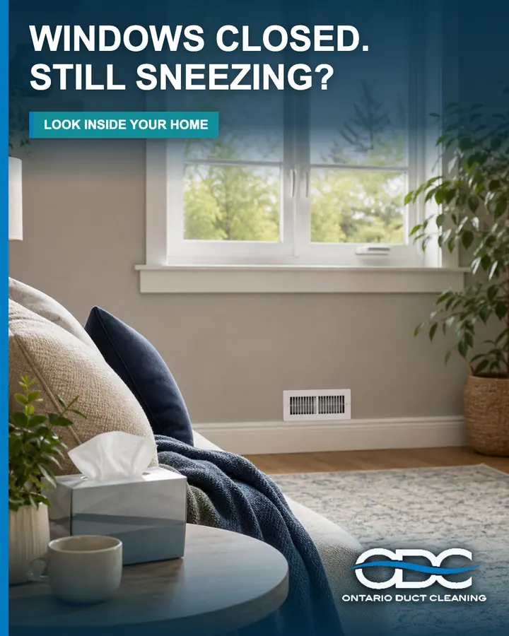 Why You’re Still Sneezing With the Windows Closed portrait social graphic