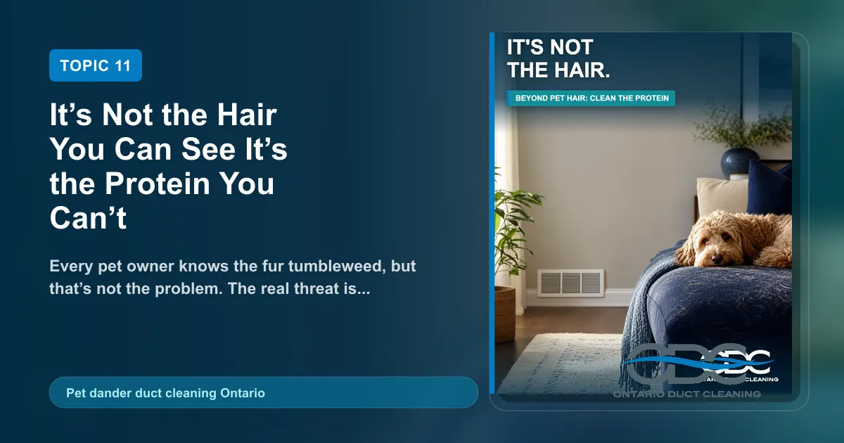 It’s Not the Hair You Can See It’s the Protein You Can’t landscape blog and social preview concept