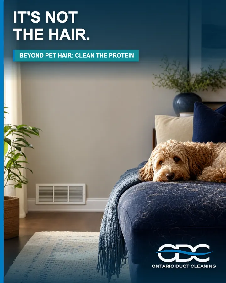 It’s Not the Hair You Can See It’s the Protein You Can’t portrait social graphic
