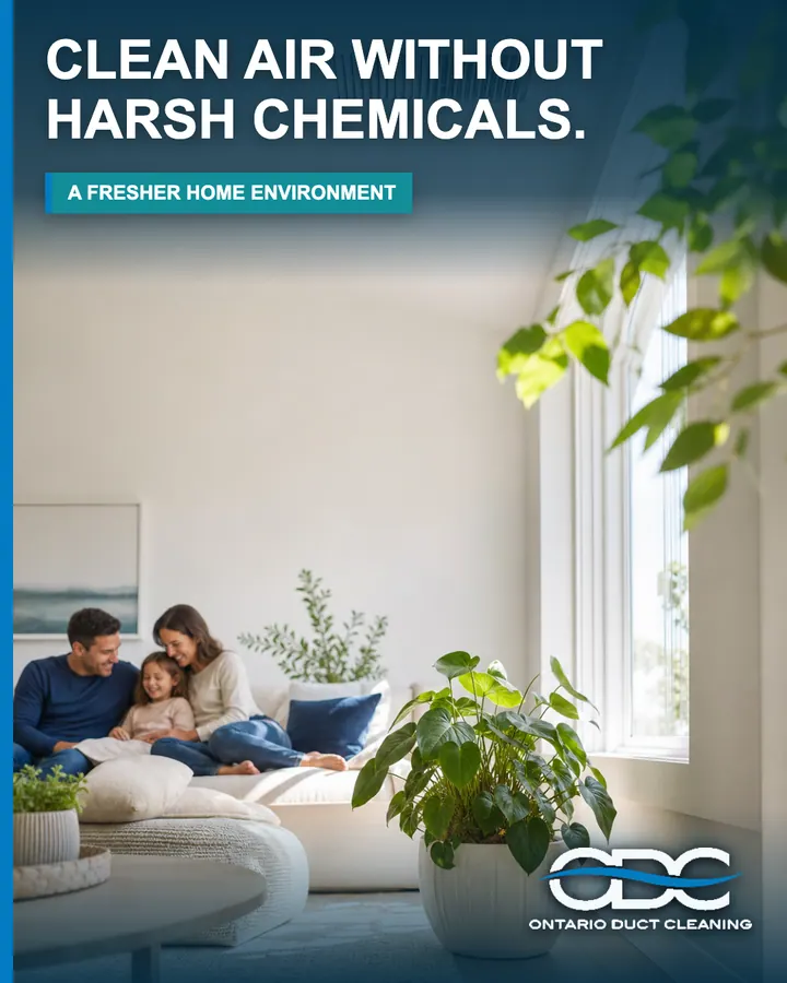 Clean Air Without Harsh Chemical Odours portrait social graphic